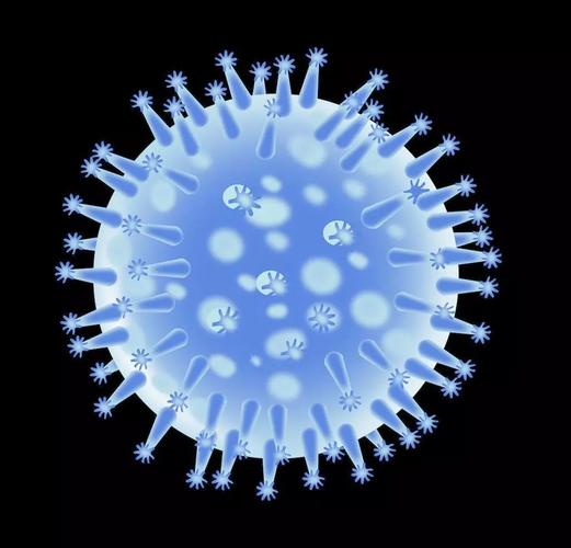 什么是流感病毒
